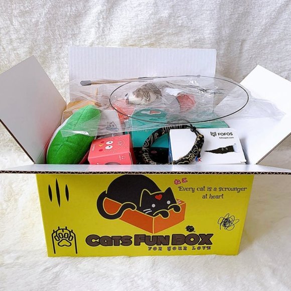 15 toys! Cat toy